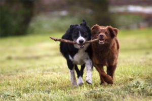 conflict resolution techniques