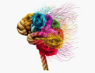 Brain